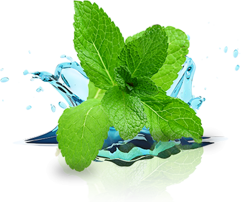 Le menthol et l'huile essentielle de menthe démentholisée_menthe-liquide_wp