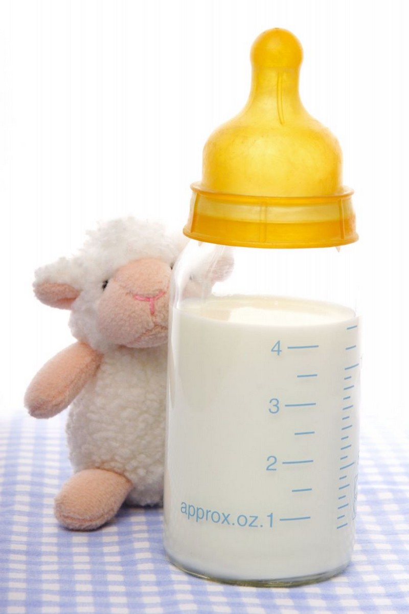 Les laits que l'on ne doit pas donner à un bébé_biberon-mouton_wp