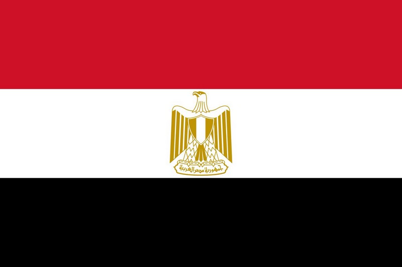 Égypte_démantèlement d'un grand réseau de trafic d'organes humains_drapeau-pays_wp
