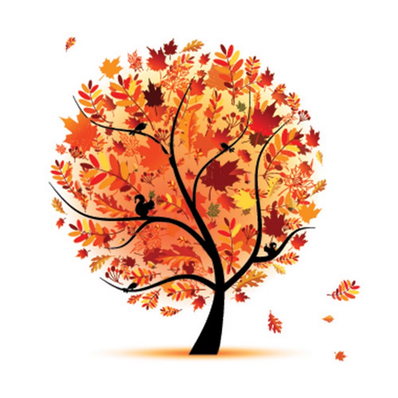 Les arbres de vie_automne_wp
