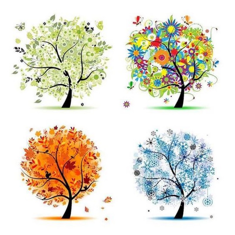 Les arbres de vie_saisons_wp