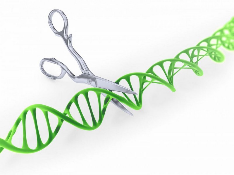 Un scientifique tente de modifier son génome_adn-ciseau_wp