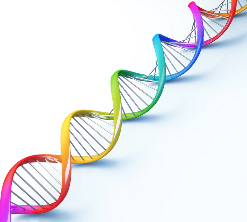 Un scientifique tente de modifier son génome_adn-color_wp