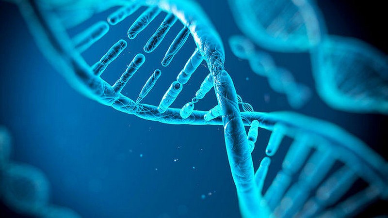 Un scientifique tente de modifier son génome_adn-hélice_wp