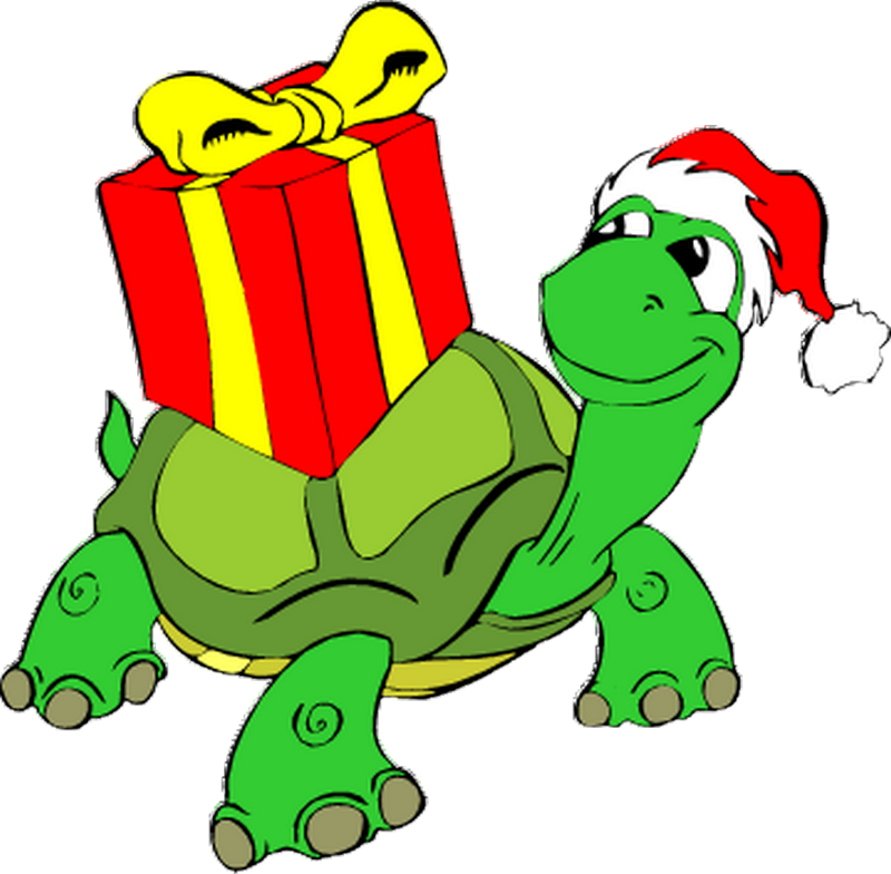 Boxing Day_cadeau-tortue_wp