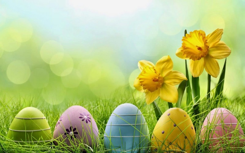 English Easter_oeufs-fleurs-jonquilles_wp