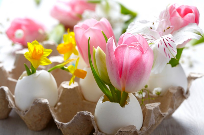 English Easter_oeufs-fleurs-tulipes_wp