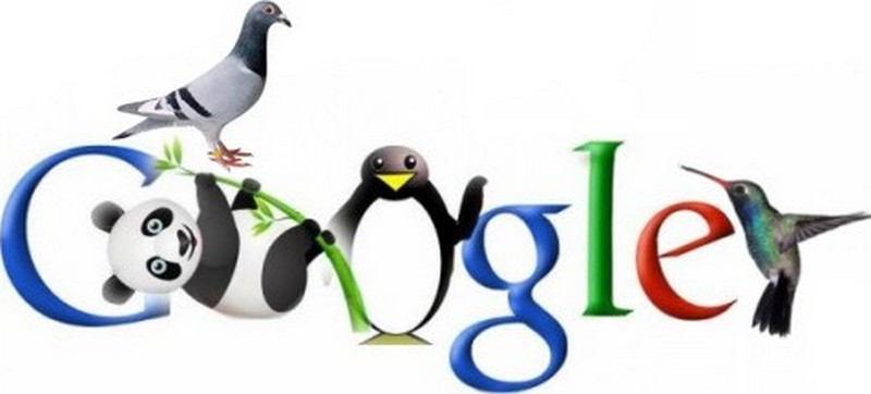 Google s'engage dans l'armée...-color-hummingbird-panda-penguin-pigeon_wp