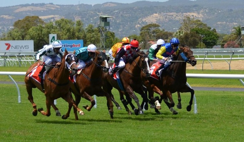 Horse racing_jockeys_wp