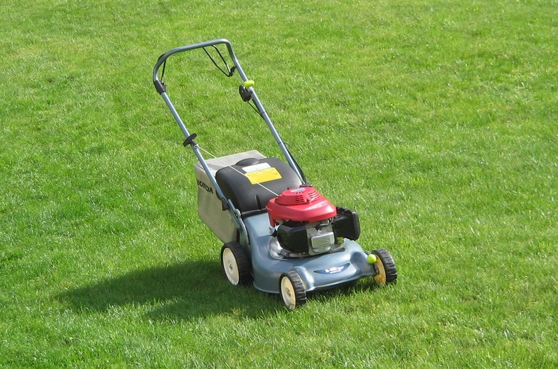 Le sport national en Angleterre_the grass cutting_lawnmower_wp