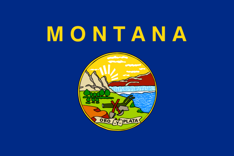 USA_un bébé de 5 mois a été retrouvé en vie enterré dans la forêt_Montana-flag_wp