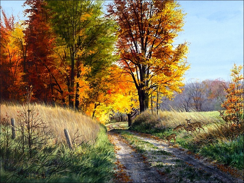 Paysages d'automne_chemin-daims_wp