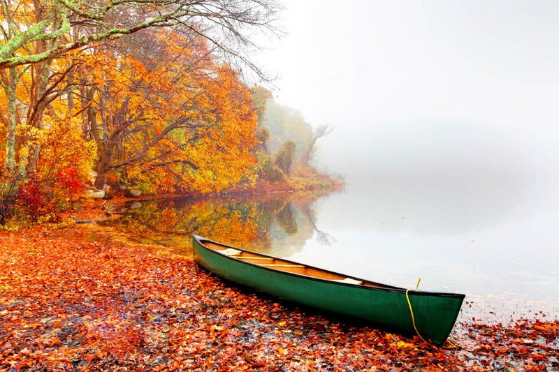 Paysages d'automne_lac-barque_wp