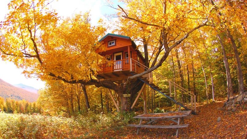 Paysages d'automne_maison-arbre_wp