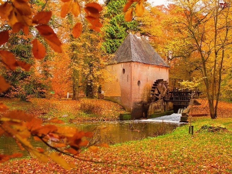 Paysages d'automne_moulin_wp