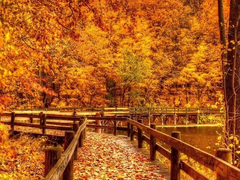 Paysages d'automne_ponts_wp