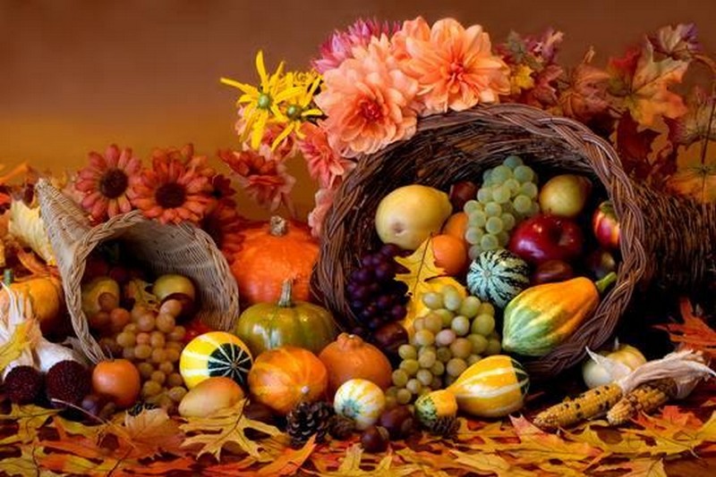 Les fruits de novembre_automne-corne-abondance-panier_wp
