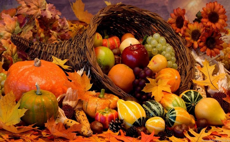 Les fruits de novembre_automne-corne-abondance_wp