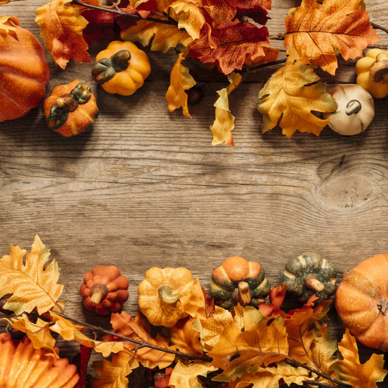 colorful autumn composition