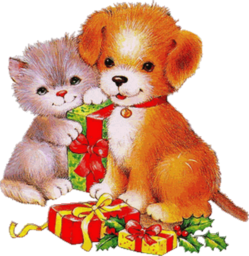 Pas de Noël des animaux cette année_chaton-chiot-cadeaux_wp