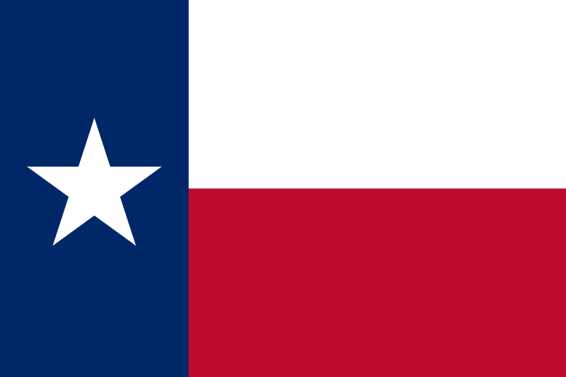 USA_des enfants découverts enfermés dans des cages et recouverts d'excréments_texas-flag_wp