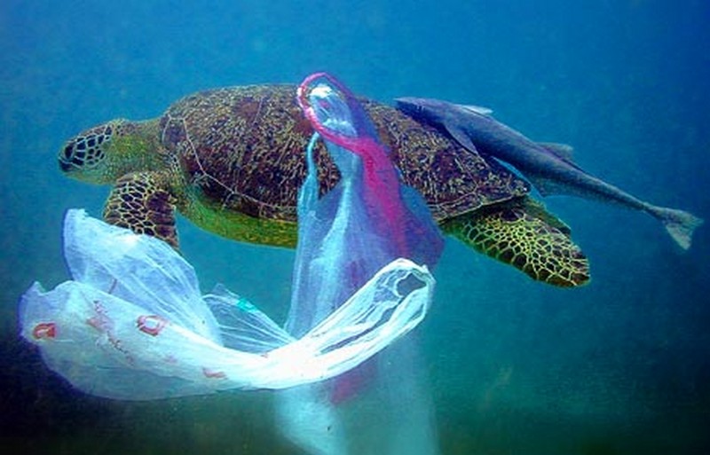Le Burundi veut interdire les sacs en plastiques dès 2020_sacs-plastiques-océan_wp