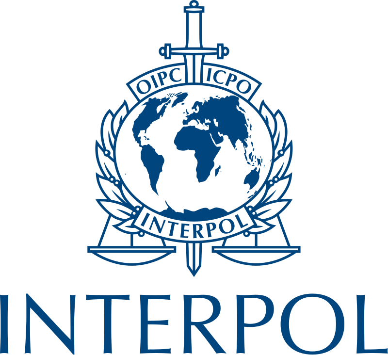 Interpol a démantelé un réseau international de pédophiles_logo_wp