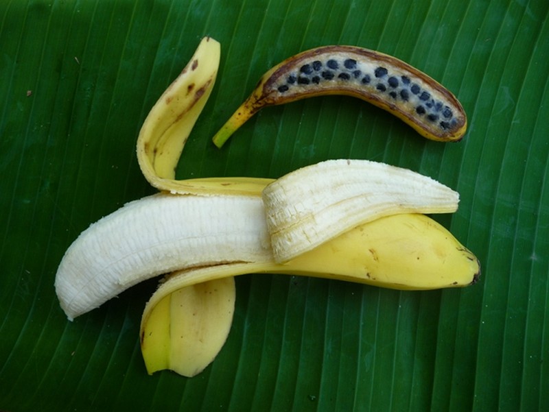 Les fruits de septembre_banane_wp