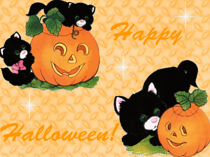 Les sorcières du Berry_happy-halloween-citrouilles-chats-noirs_wp