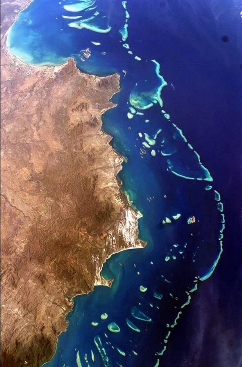 11 juin 1770_découverte-grande-barrière-de-corail-australie_wp