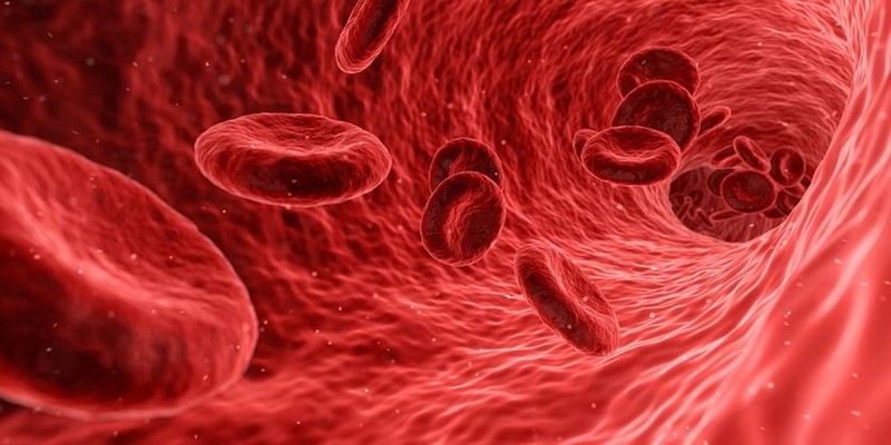 Il existe 43 systèmes de groupes sanguins-_sang-globules_wp