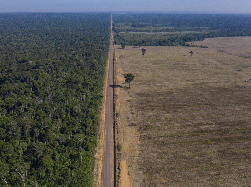 La déforestation au Brésil_wp