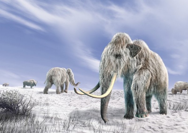 17 octobre 1999_découverte-mammouth-20.000-ans-glace-sibérie_wp