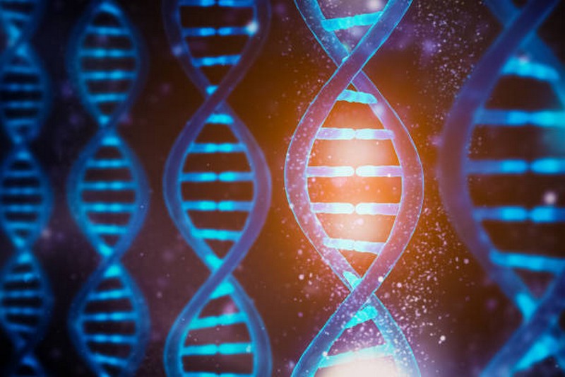 Des séquences d'ADN datant de 25 000 ans_adn-brins-séquences_wp