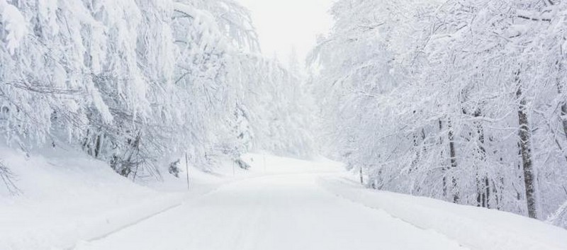 humeur de saison_hiver-neige-forêt-route_wp