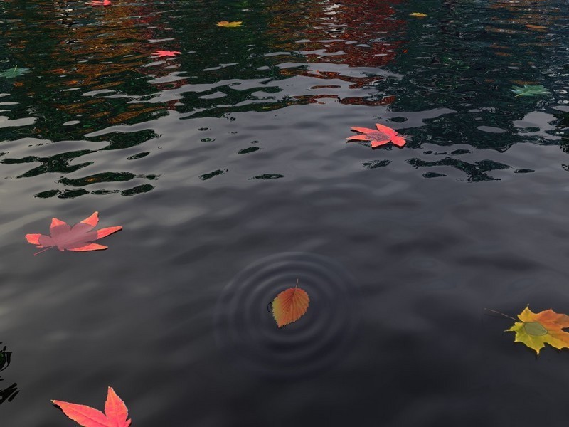 Humeur de septembre_automne-feuilles-lac_wp