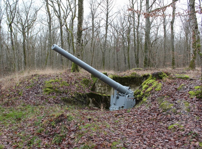 21 février 1916_début-bataille-verdun-fr-canon-forêt_wp