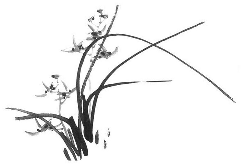 Un début de printemps..._calligraphie-fleurs_wp
